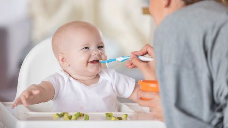 Bioderma - Baby food